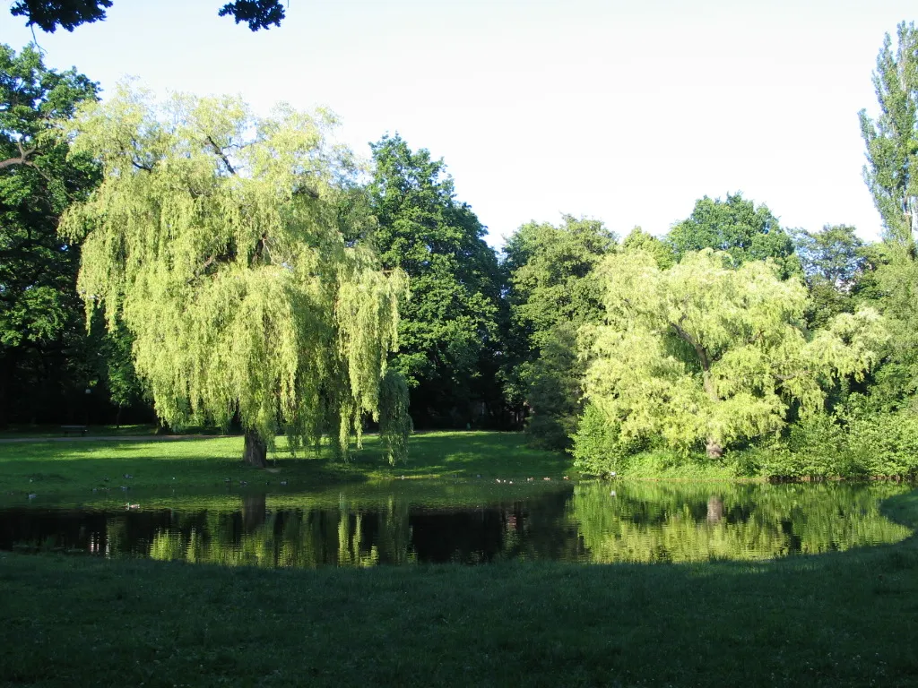 Park Źródliska I
