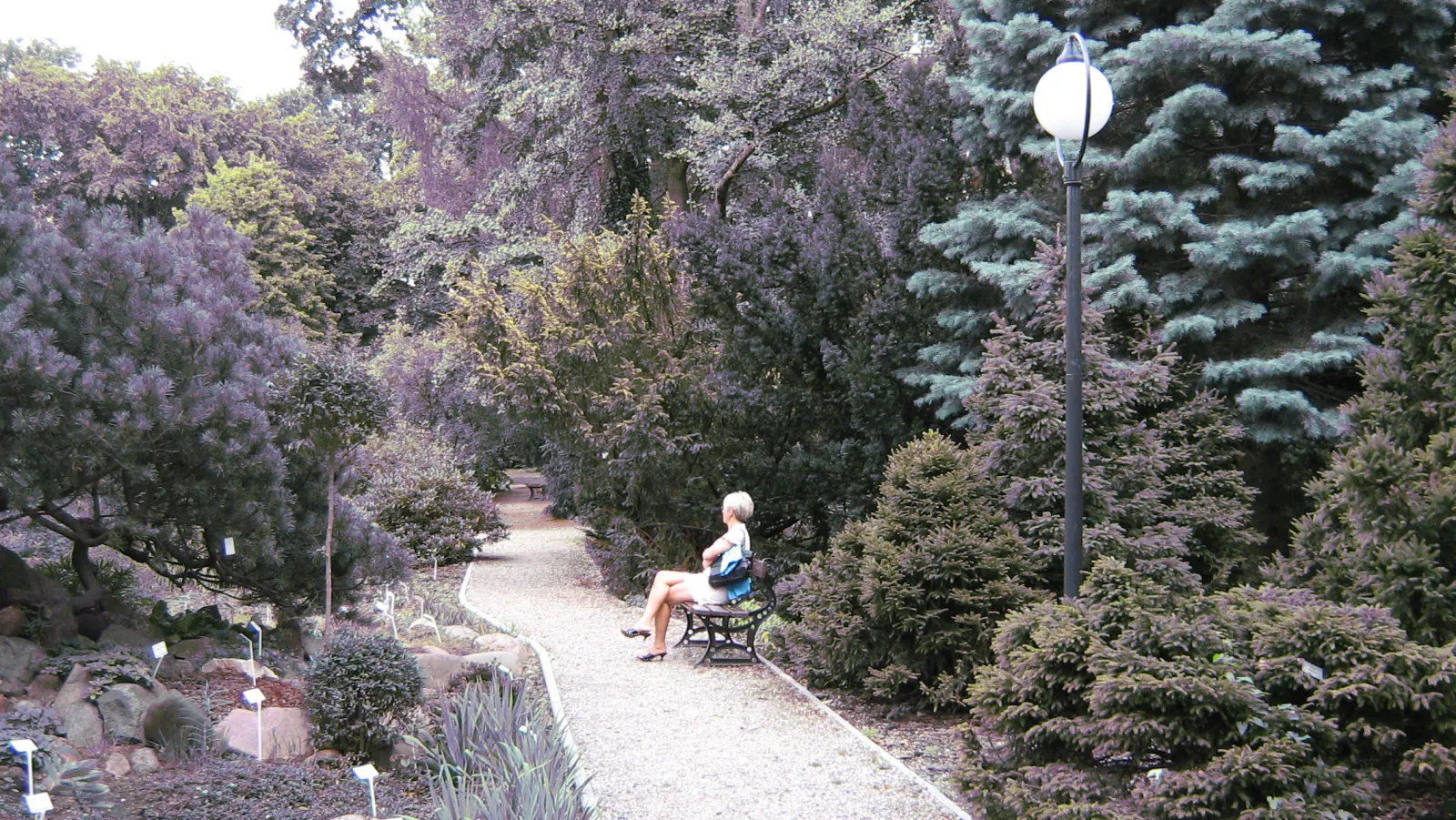 Palmiarnia w Łodzi