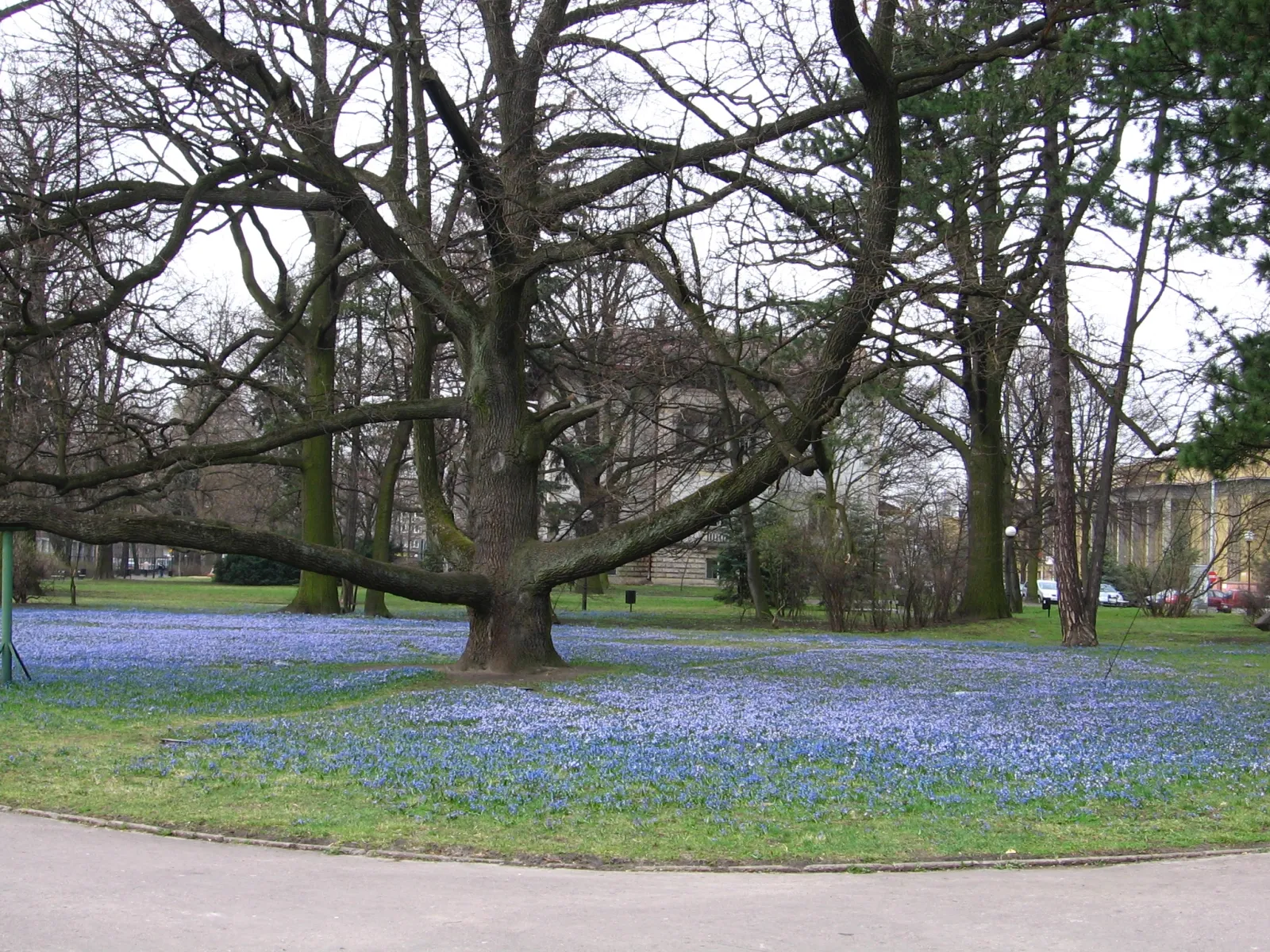 Park im. ks. bp. Michała Klepacza