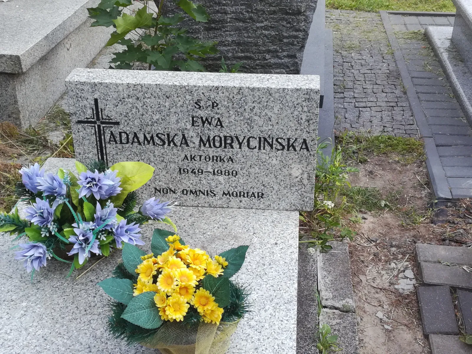 Ewa Adamska