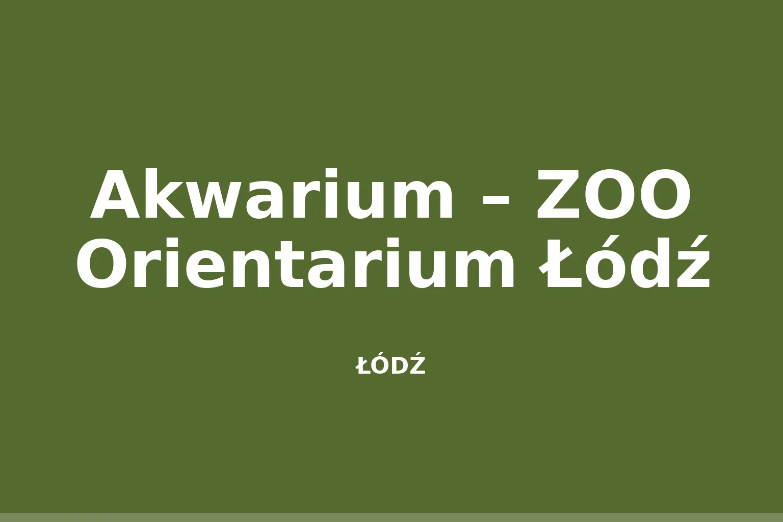 Akwarium – ZOO Orientarium Łódź